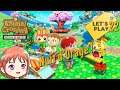Animal Crossing Let's Go to the City - Let's Play 22 Nuit d'Orage [Wii]