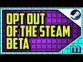 HOW TO OPT OUT OF STEAM BETA (QUICK & EASY). How to disable the Steam Beta / Turn off Steam Beta
