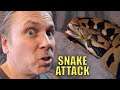 20 FOOT ANGRY SNAKE (Lucy) TRIES TO ATTACK ME!! Reptile Zoo Build Day #8 | BRIAN BARCZYK
