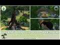 Bakies The Sims 4 Custom Content: Unlocked Swamp Trunks & Tree - Walk-through