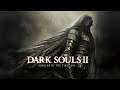 Dark Souls 2 Scholar Of The First Sin 2 Chefes de uma vez