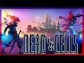 🔴[Dead Cells] You Guys Choose The Path! | Nintendo Switch