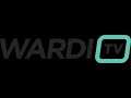 Турнир по StarCraft II: (LotV) (19.11.2020) WardiTV !Raid Invitational #4