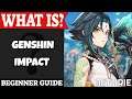 Genshin Impact Introduction | What Is Series