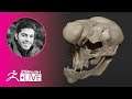 ZBrush Guides: 3D Model a Creature Skull #withme! - Pablo Muñoz Gómez - Part 1