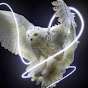 DeafOwl987