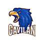 Gavilán