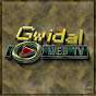 Gwidal & Nekhesh