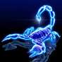 The Scorporation a.k.a. Scorpio365