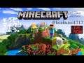 [Mincecraft]    PS4　マイクラ　初心者プレイ#7