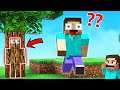 NO ONE CAN FIND ME | HIDE AND SEEK