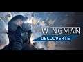 Project Wingman - Découverte