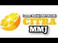 Citra MMJ Emulator Latest Build(DB871B2DB) 20210127
