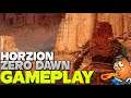 Hunting with Aloy | Horizon Zero Dawn | PS4 PRO 1080p Gameplay