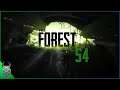LP The Forest Folge 54 Das fliegende Mausi [Deutsch]