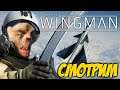 Project Wingman / Смотрим/ ЛітУкачки (огляд, обзор, review)