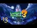 Let's Play Luigis Mansion 3 [#13] Jungle Fieber