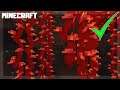 MINECRAFT | How to Get Weeping Vines! How to Use Them! 1.16.1
