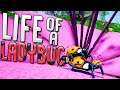 The Interesting Life Cycle of a Ladybug Beetle - Insect Simulator - Drunk on Nectar