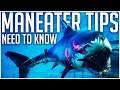 15 NEED TO KNOW Maneater Shark Game Tips!
