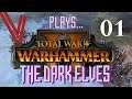 PURGE THE VERMIN SCUM! Part 1 - Let’s Play Total War: Warhammer 2