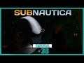 Subnautica [Deutsch/Survival] Machs gut Knuddelfisch [ENDE] #38