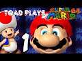 Toad Plays Super Mario 64 - Part 1: Mario Is Not A Doctor!