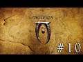 The Elder Scrolls IV: Oblivion ◈ Ночные воры и банда баб ◈ (#10)