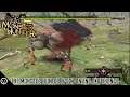 THE MONSTER HUNTER (PS2) ONLINE EXPERIENCE #7