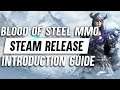 Blood Of Steel Action MMO ► Steam Release Introduction Guide (Game Mechanics, Combat, Monetization)