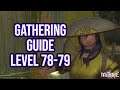FFXIV 5.3 1509 Gathering Guide Level 78 to 79