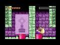 Wario Land 4 Glitch World