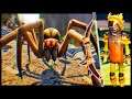 Finding The Secret Bee Armor & Insect Bow To Slay The Giant Wolf Spider - Grounded