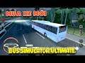 Mua xe mới Bus Simulator Ultimate | Văn Hóng