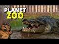 O Pântano dos Crocodilos | Planet Zoo #04 - Sandbox Gameplay PT-BR