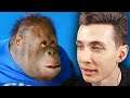 ХЕСУС СМОТРИТ: orangutan asmr | REACTION/РЕАКЦИЯ