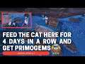 Feed the Cat Here for 4 Days in a row and get Primogems