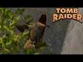 Tomb Raider - 4 - MINHAS PERNAS ESTÃO OK!