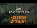 HOW TO FIND METEORITES | Ancestors: The Humankind Odyssey