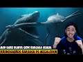 IKAN KADAL DINOSAURUS KRONOSAURUS VS MEGALODON RAKSASA - FEED AND GROW FISH INDONESIA #31