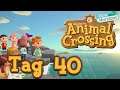 Animal Crossing: New Horizons [Stream] - Tag 40: Der Kampf gegen die Veilchen beginnt