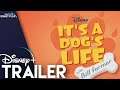 It’s A Dog’s Life Disney+ Trailer.