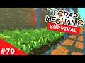 Scrap Mechanic Survival deutsch | EP70 Feldarbeit & Heimwerken 👀