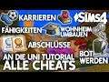 Alle CHEATS 👩‍🎓👨‍🎓 Die Sims 4 An die Uni! Tutorial: Bot werden, Abschlüsse, Wohnheim umbauen,...