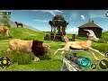 Animal Sniper Shooter: Jungle Hunting Hunter 3D Android Gameplay