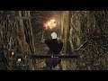 Dark Souls 2 SotFS: Augur of Darkness mod - Part 2