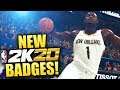 EVERYTHING We Know About NBA 2K20 Badges So Far! New Badges Confimed! NBA 2K19 Pro Am Gameplay