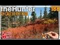The Hunter Call of the Wild ★ Karibu's und Bären Jagd im Yukon | Let's Play Deutsch