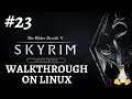 Skyrim Special Edition Modded Walkthrough On Linux Part 23 Sanguine Rose & Mace of Molag Bal
