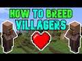 How To Breed Villagers In Minecraft 1.17 Tutorial #Shorts
